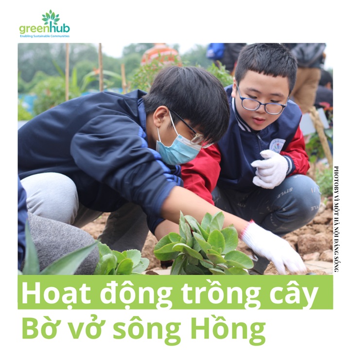 Hoạt động trồng cây ở Bờ vở sông Hồng