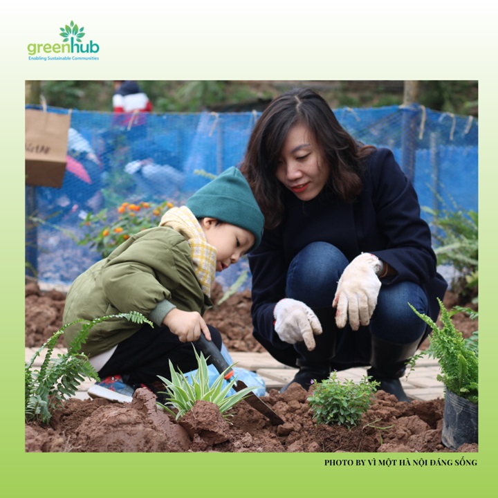 Hoạt động trồng cây ở Bờ vở sông Hồng