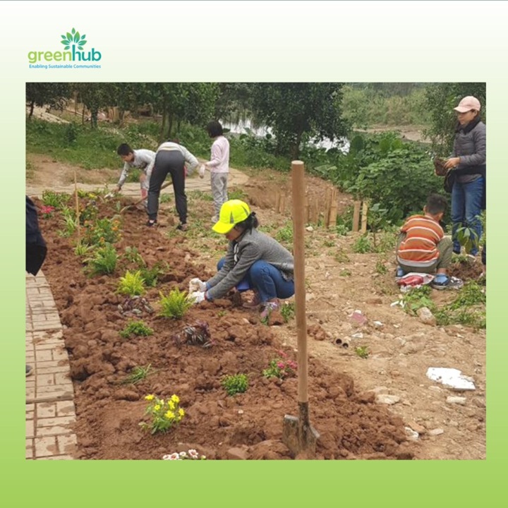 Hoạt động trồng cây ở Bờ vở sông Hồng