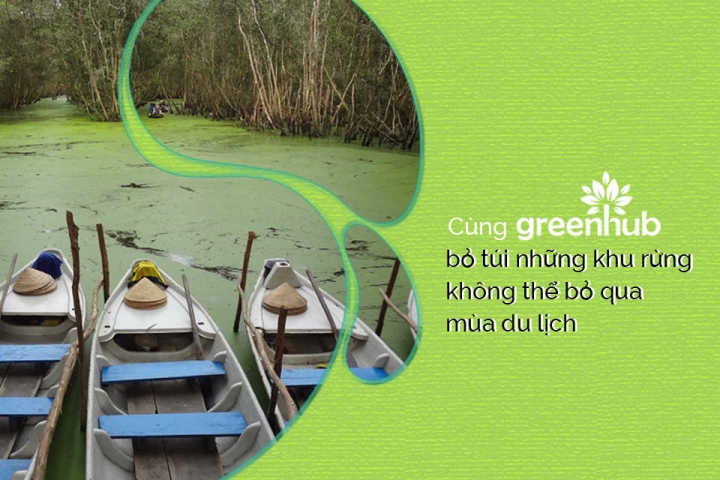 BẠN ĐÃ THỬ DU LỊCH RỪNG NGẬP MẶN CHƯA?