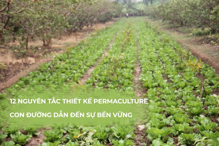 12 NGUYÊN TẮC THIẾT KẾ PERMACULTURE - CON ĐƯỜNG DẪN ĐẾN SỰ BỀN VỮNG