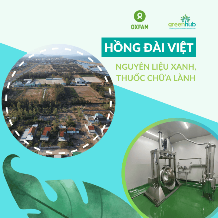 Hồng Đài Việt - Doanh nghiệp Xanh, Thuốc chữa lành