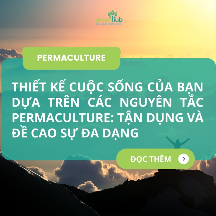 Thiết kế cuộc sống của bạn dựa trên các nguyên tắc Permaculture: Tận dụng và đề cao sự đa dạng