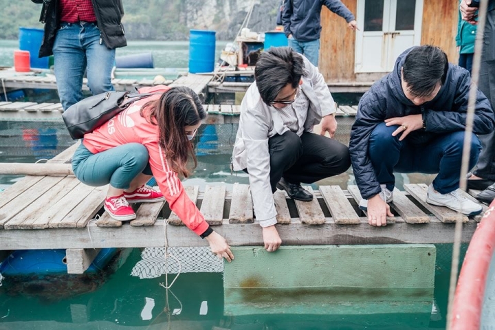 Giải pháp phao xốp phủ sơn Line-X và chế phẩm sinh học cho vịnh Việt Nam xanh