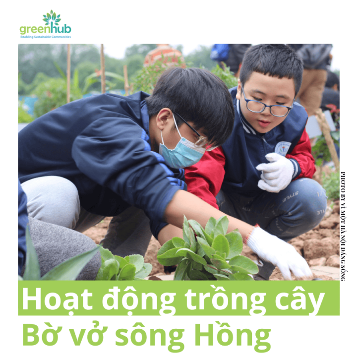 Hoạt động trồng cây ở Bờ vở sông Hồng