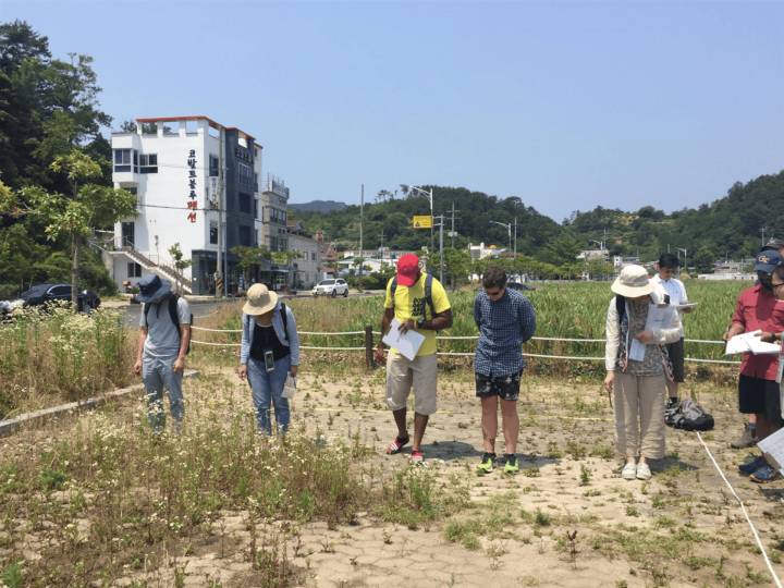 GreenHub: Tham gia Khảo sát rác thải biển quốc tế