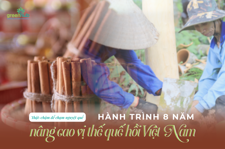 HÀNH TRÌNH 8 NĂM NÂNG CAO VỊ THẾ QUẾ HỒI VIỆT NAM
