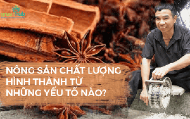 NÔNG SẢN CHẤT LƯỢNG HÌNH THÀNH TỪ NHỮNG YẾU TỐ NÀO?