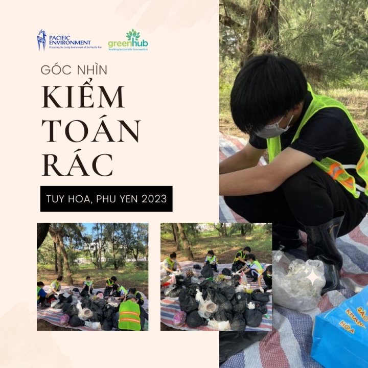 We are young auditors