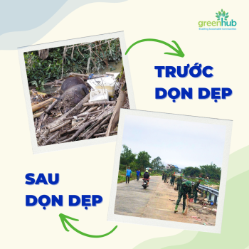 GreenHub phối hợp cùng cộng đồng hỗ trợ vệ sinh môi trường, khắc phục hậu quả sau thiên tai tại Đắk Lắk